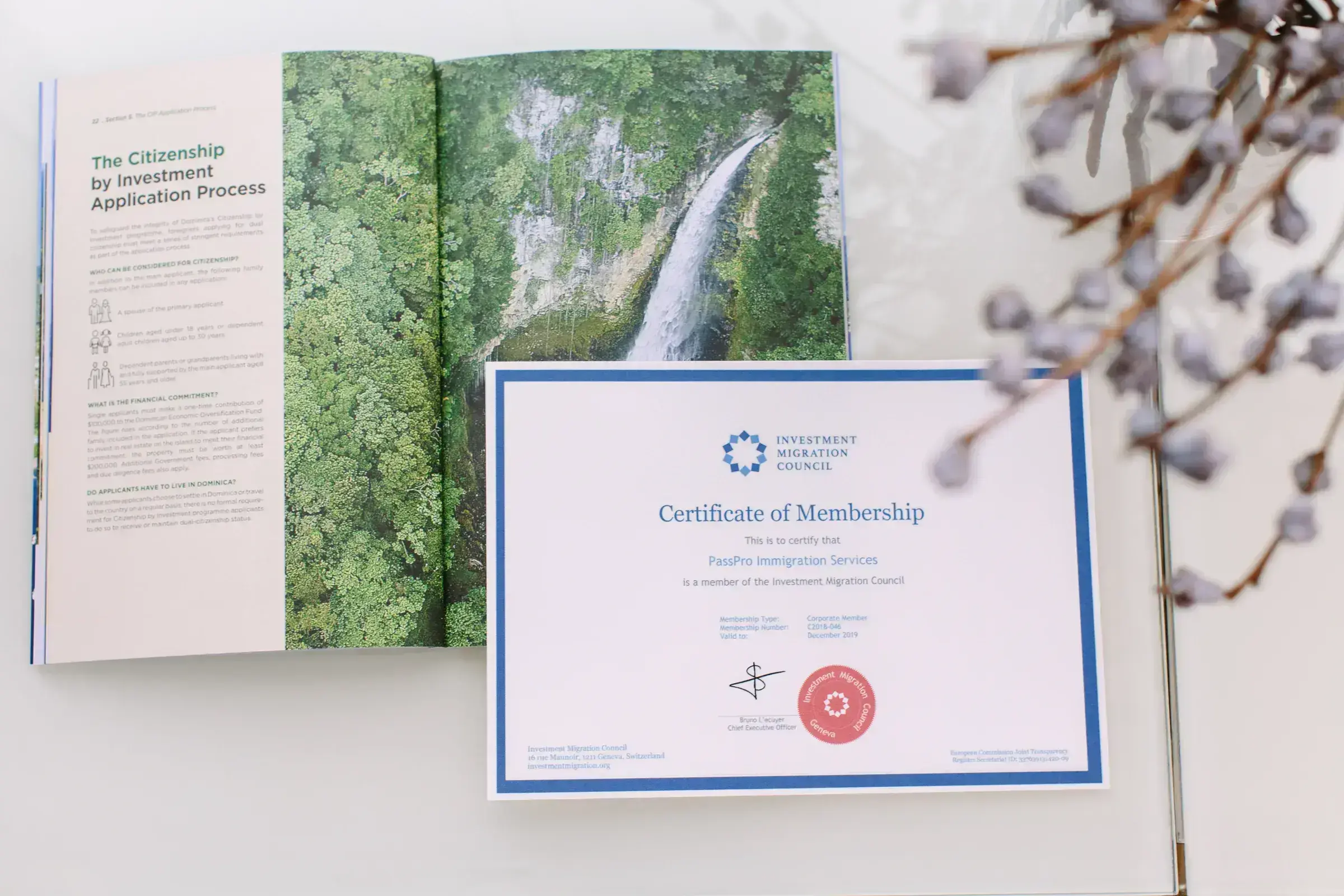 The Investment Migration Council Certificate of Membership beside an open PassPro brochure showing the Citizenship by Investment Application Process.