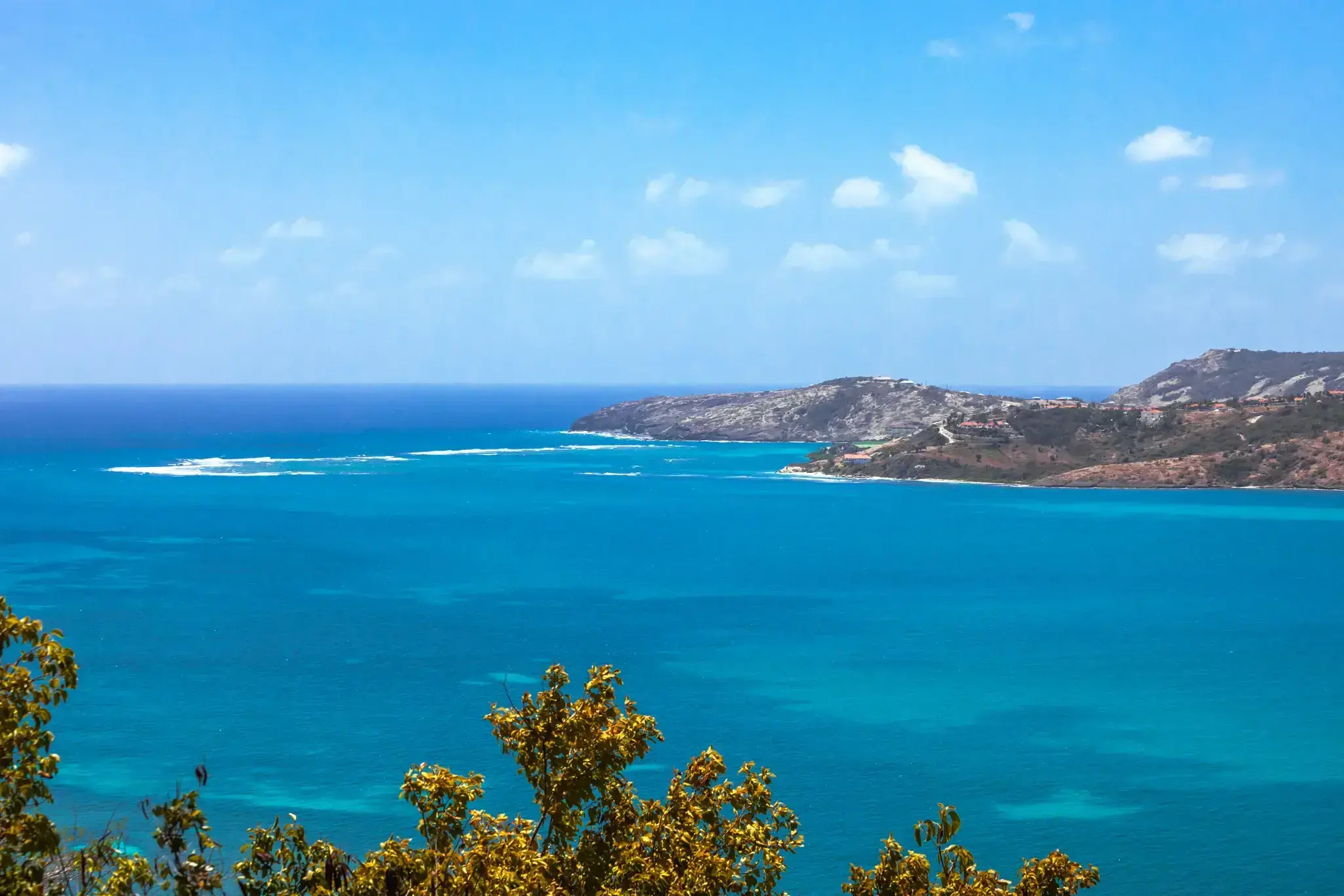 Willoughby Bay, Antigua and Barbuda — turquoise Caribbean water meeting a distant peninsula, foreground plants framing the view.