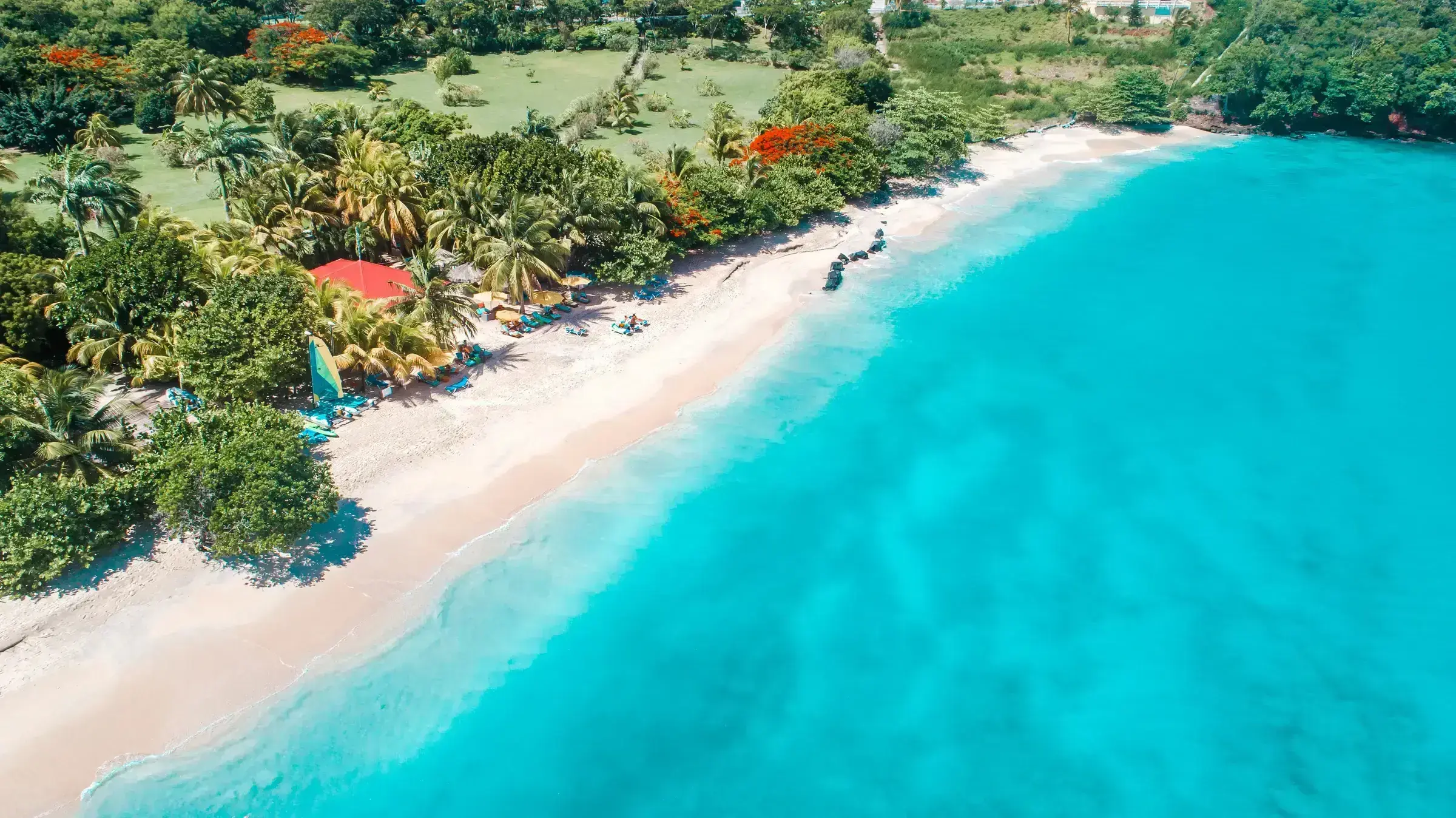 An aerial view of Grenada's coastline — turquoise water meeting lush green hillside, the visual identity of the Spice Isle.