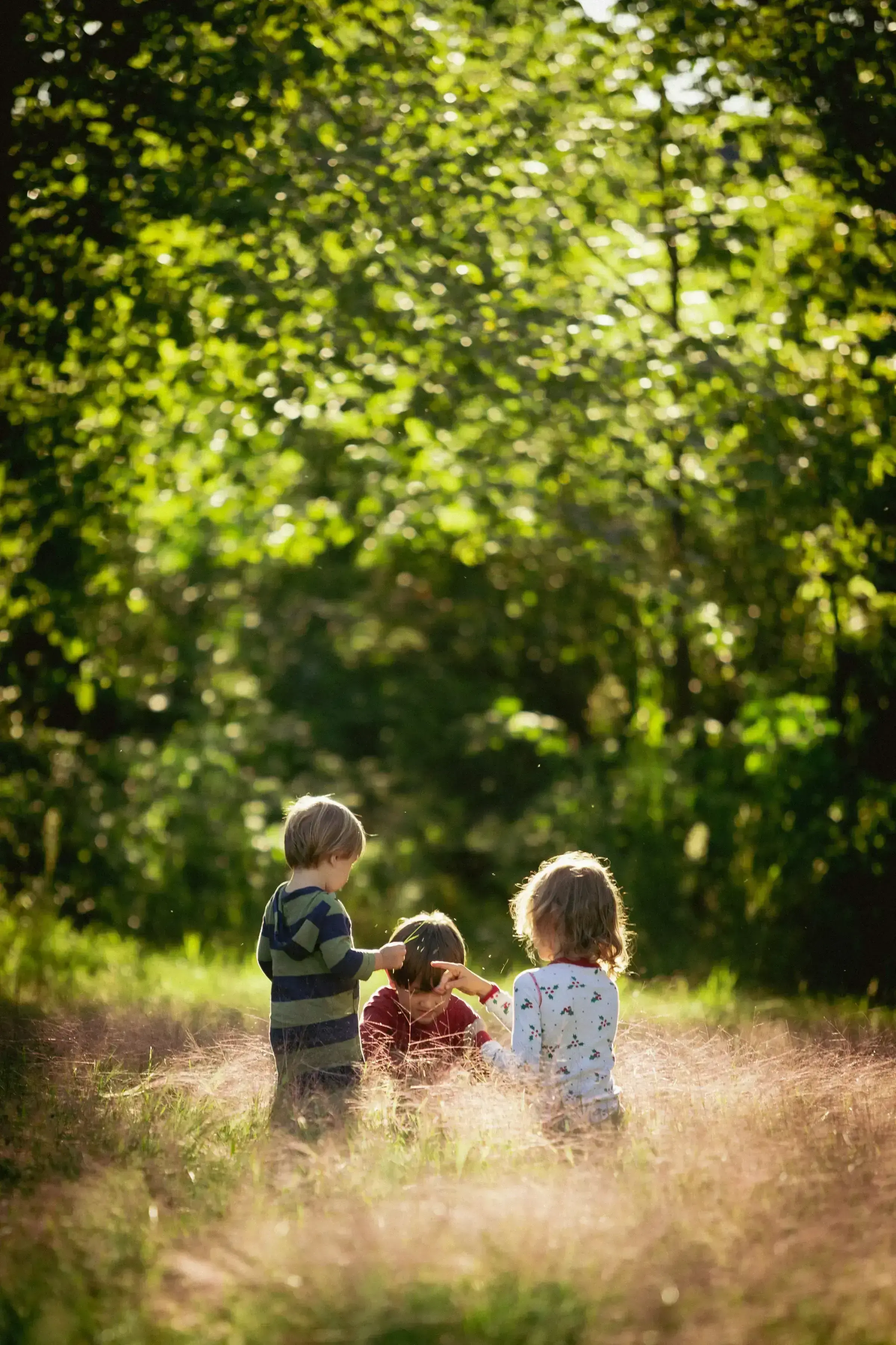 Three young children sitting together in a sunlit field of tall summer grass.