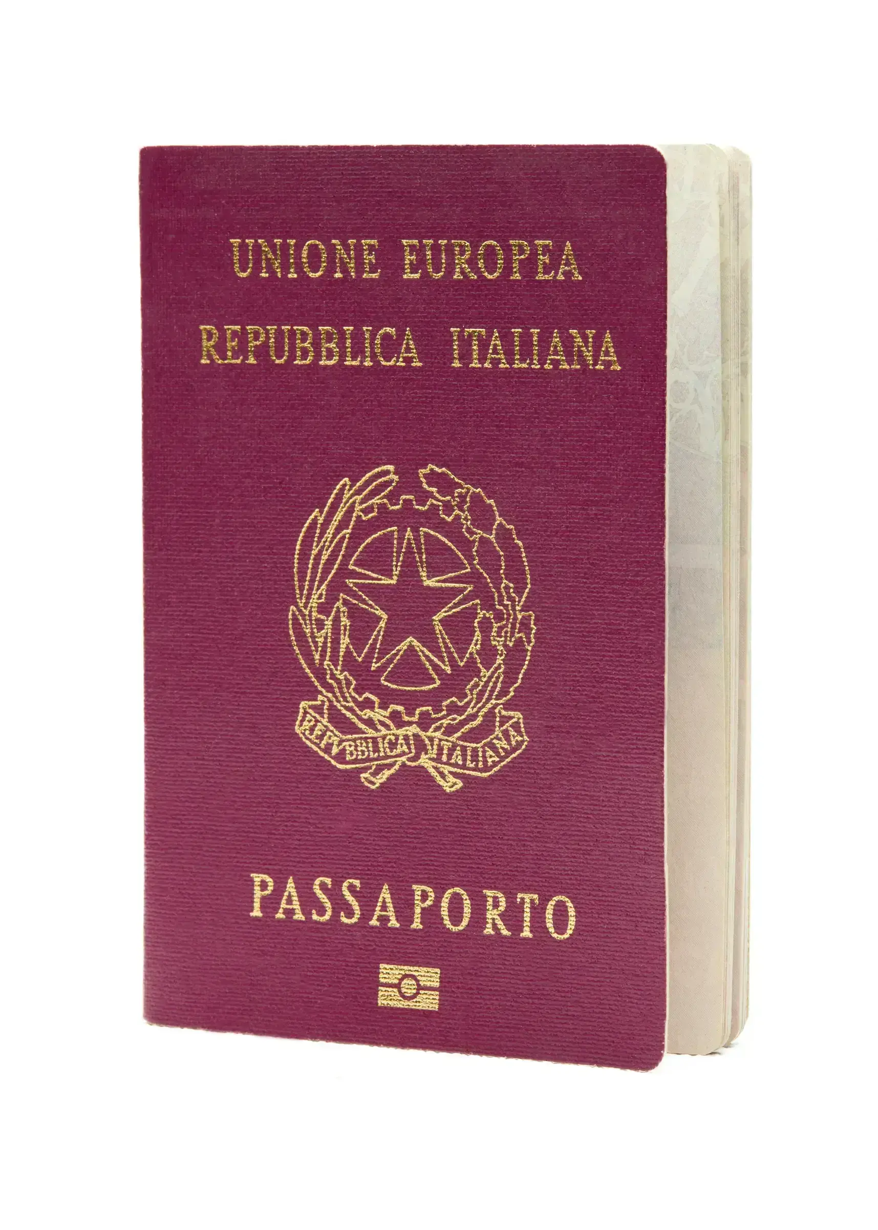A formal embossed seal or government insignia in detail — the visual register of official documents.