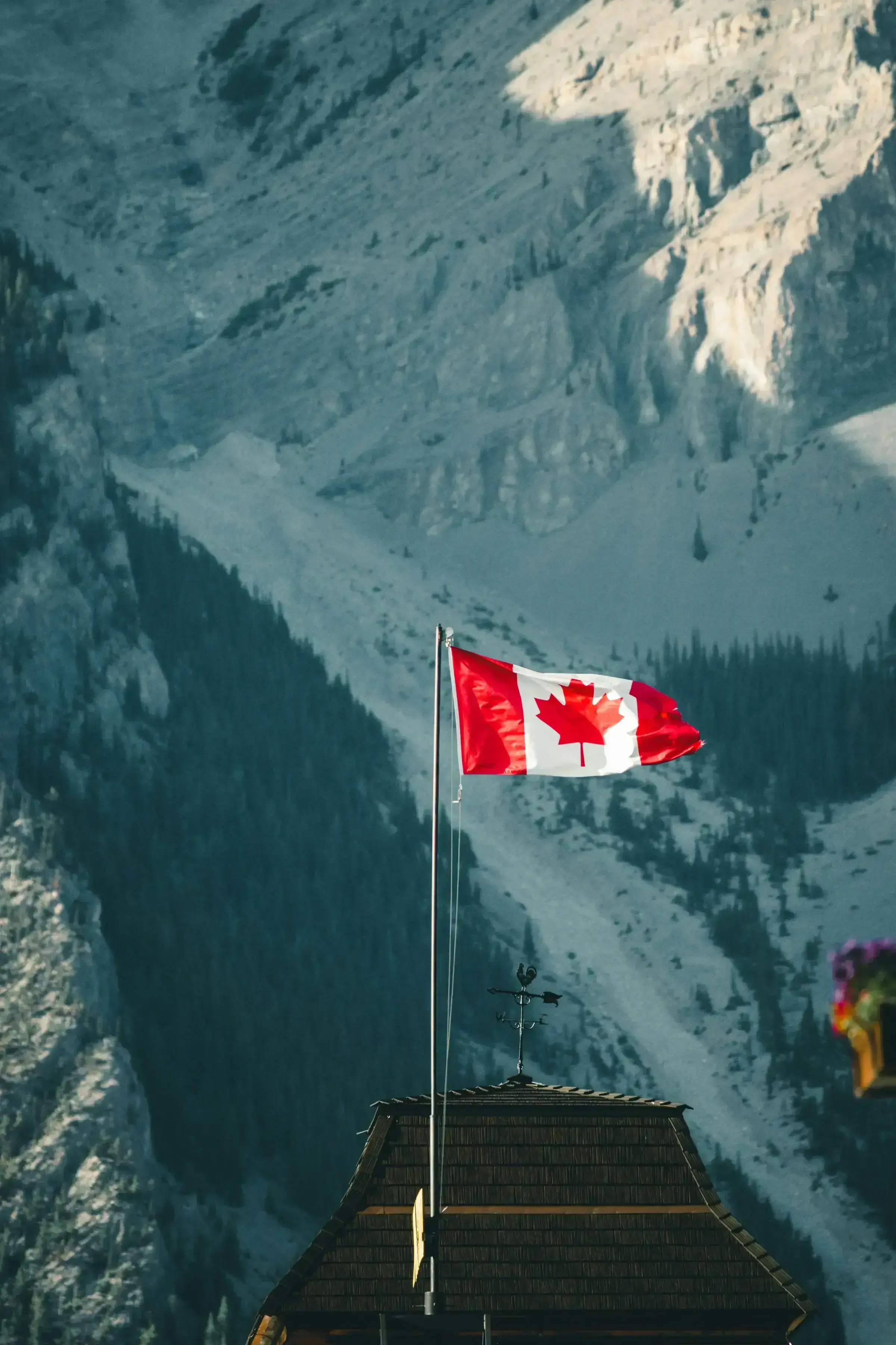 A Canadian arrivals scene with measured architectural lines — the regulated environment of international travel.