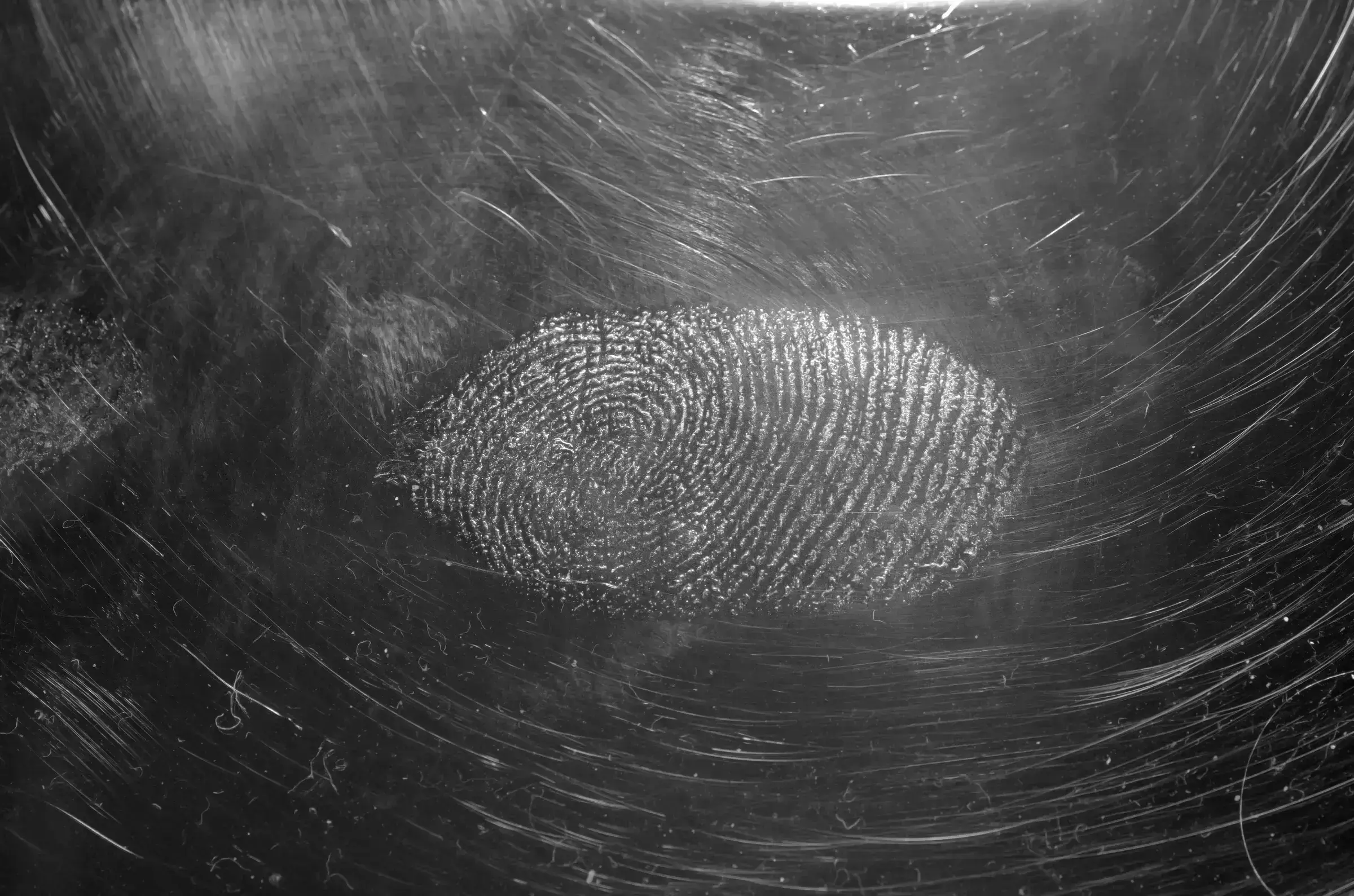 A black-and-white circular textile of concentric rings — an abstract editorial image suggesting depth, layers, and careful scrutiny.