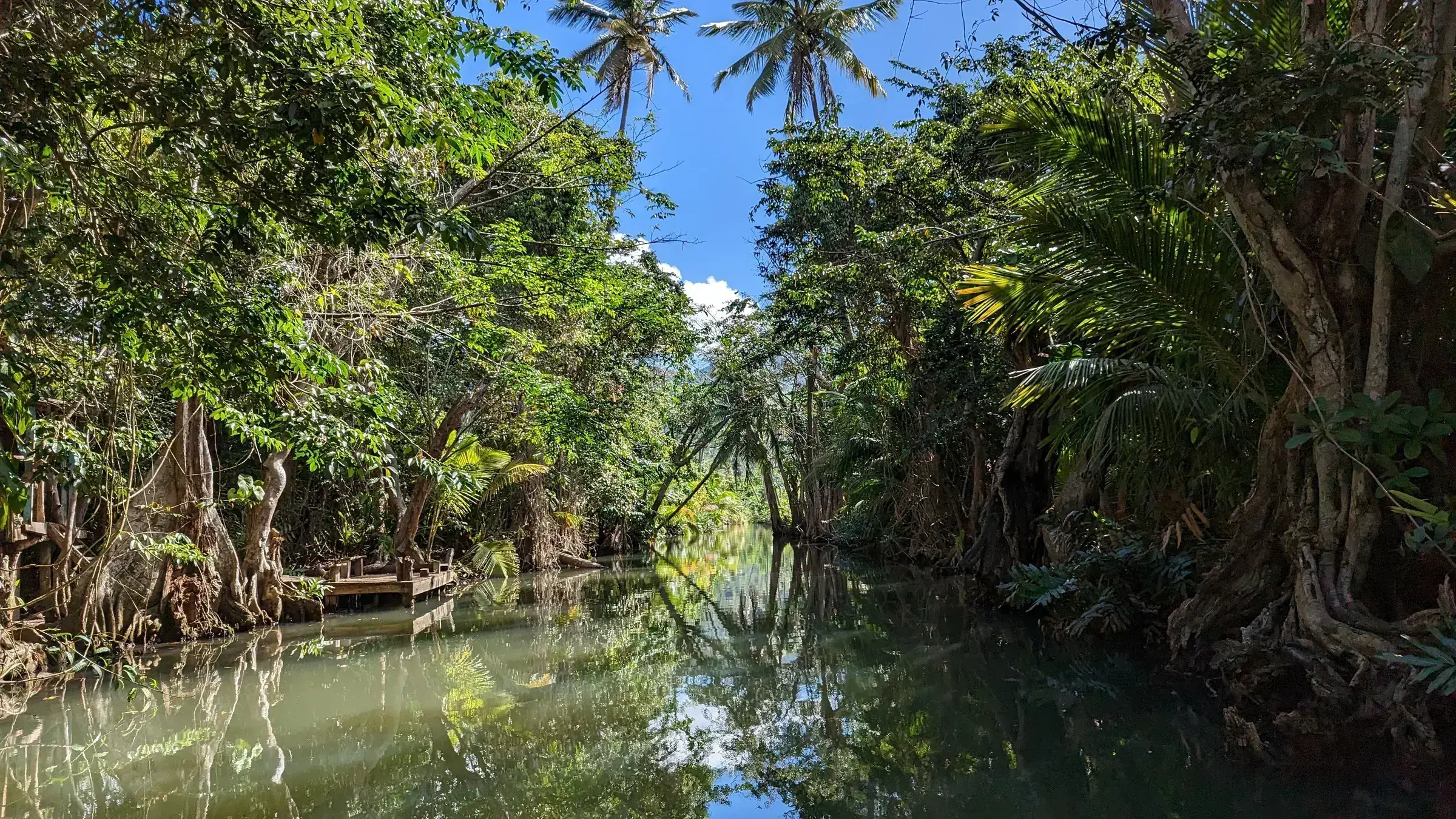 Indian River, Dominica — the mangrove channel near Portsmouth used as the boat journey to Tia Dalma's home in Dead Man's Chest.