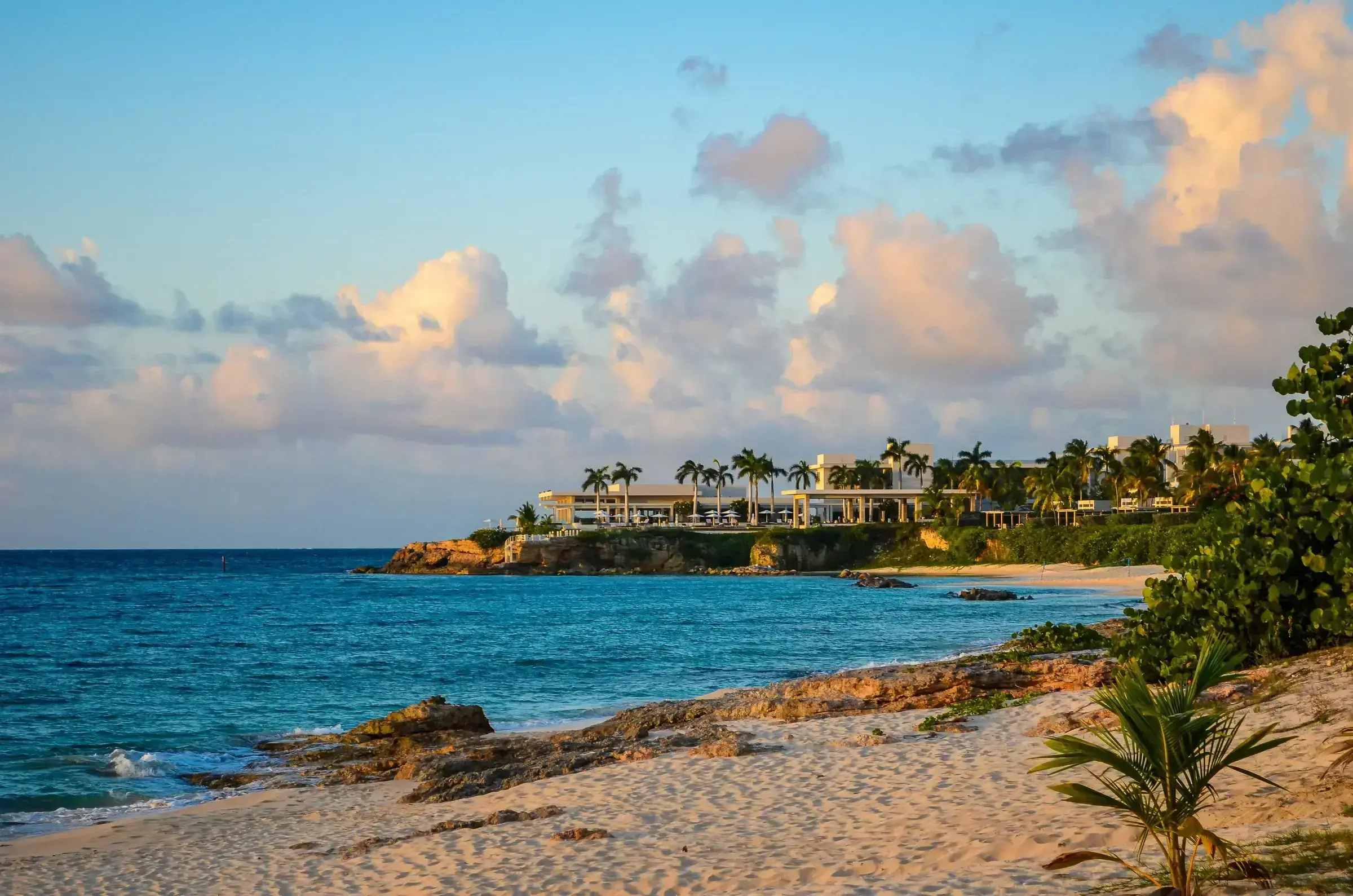 A premium Caribbean resort exterior with manicured palms and an infinity pool.