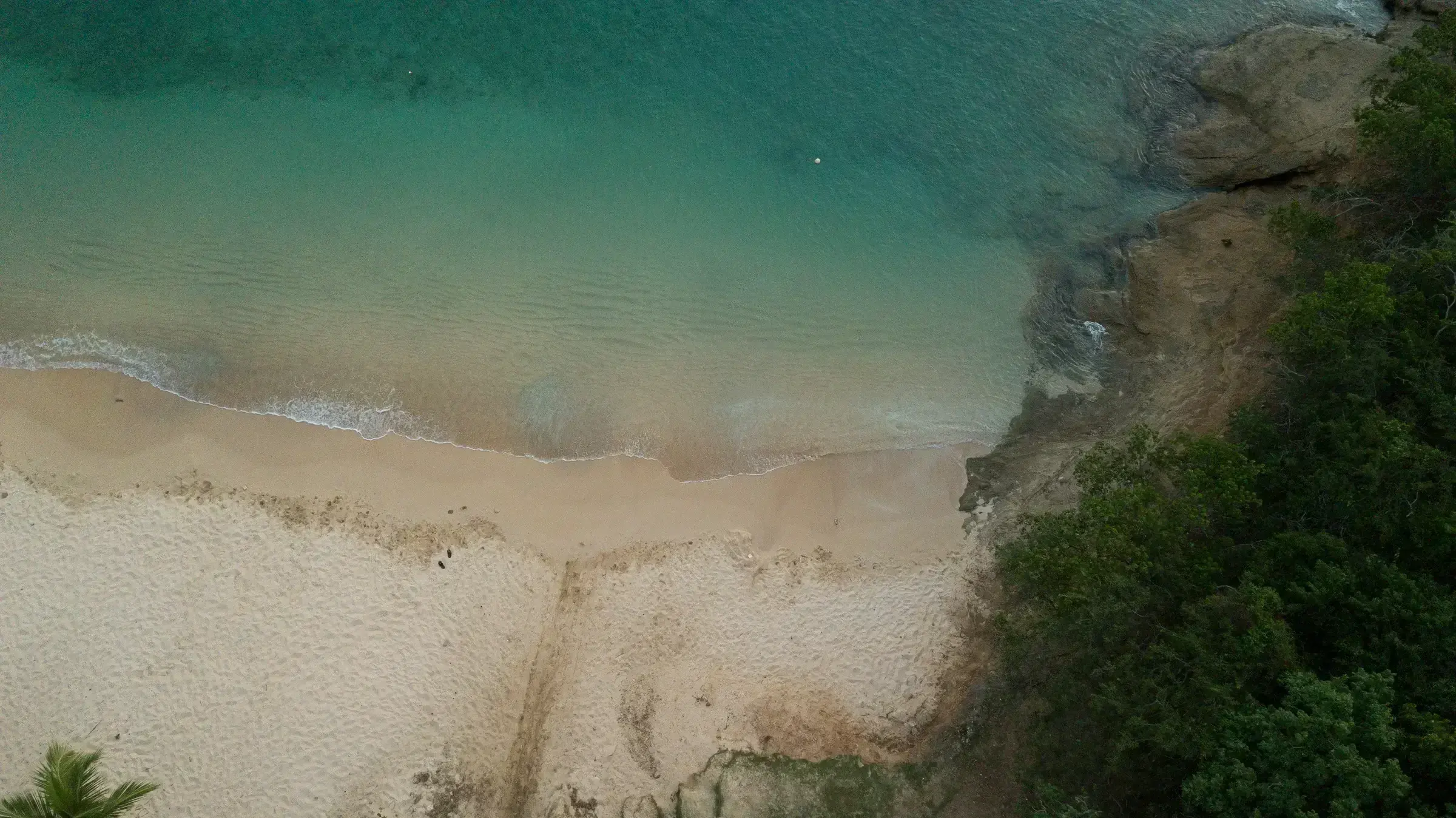 An English Harbour scene with sailing vessels at anchor — the timeless visual signature of Antigua's maritime tradition.