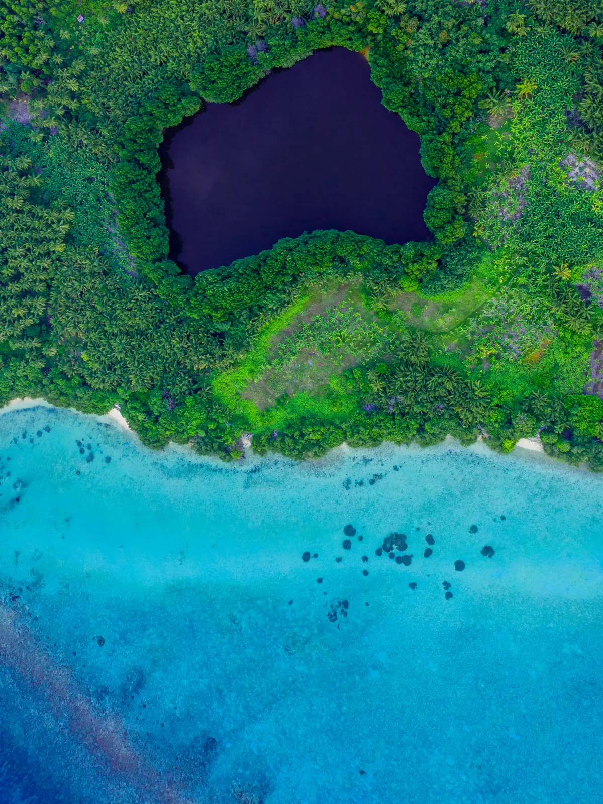 Image: Vanuatu hero · landscape · 2400×1600